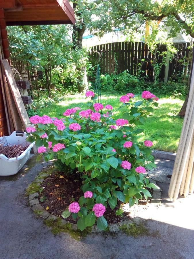 Vila Bbq Ljubljana Eksteriør bilde